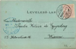 1899 Győr, Radó tér, Újváros, Városháza, zsinagóga, híd. Polgár Bertalan kiadása. Art Nouveau, flora...