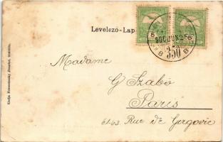 1906 Gödöllő, Erzsébet királyné (Sisi) szobra. Nemesánszky Józsefné kiadása / Königin Elisabeth (Sis...