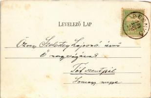 1904 Gödöllő, Királyi kastély. Schulcz J. kiadása (EK)