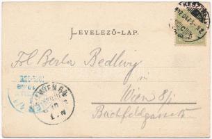 1902 Balatonmáriafürdő, Mária-telep a Balaton partján. Mérei Ignác kiadása 150. sz. (EK)