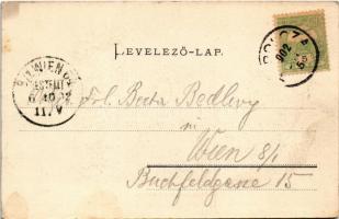 1902 Balatonberény, Balaton-Berény fürdőtelep, csónakok, fürdőkabinok. Mérei Ignác kiadása 151. sz. ...