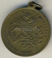 1898. "Szabadságharc" Br emlékérem T:2