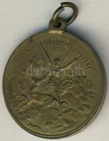 1898. "Szabadságharc" Br emlékérem T:2