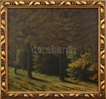 Nagy István jelzéssel: Erdőszéle. Olaj, karton. Sérült fa keretben. 41,5x45,5 cm