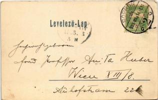 1903 Sopron, Oedenburg; Várkerület, Hollandi Életbiztosító Részvénytársaság fiókja, üzletek, (rajzol...