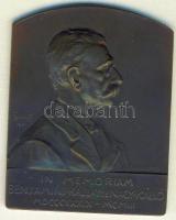 1903. "Nagykállói Kállay Benjámin" szögletes Br plakett. Szign.Scharff T:2