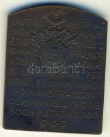 1903. "Nagykállói Kállay Benjámin" szögletes Br plakett. Szign.Scharff T:2