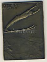 1934. "Magyar Sí Szövetség" szögletes Br plakett. Szign.Berán Lajos T:2