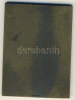 1934. "Magyar Sí Szövetség" szögletes Br plakett. Szign.Berán Lajos T:2