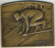 1940. "Magyar Sí Szövetség" szögletes Br plakett. Szign.Berán Lajos T:2