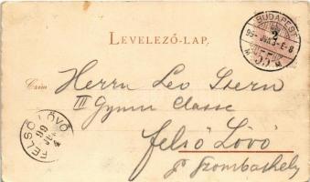 1899 Budapest I. Dísz tér, Honvéd szobor, emlékmű, Kossuth Lajos. Verlag Back & Schmitt. Art Nou...