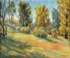 Lakatos Artúr (1880-1968): Park ősszel, patakon, 1967. Olaj, vászon, jelzett. Hátoldalán feliratozott. Dekoratív, kissé sérült historizáló keretben, 60x50 cm