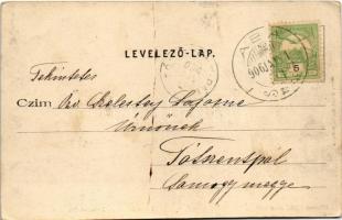 1905 Budapest II. Hűvösvölgy, Villamos közúti vasút részlete. Divald Károly 306. sz. (EK)