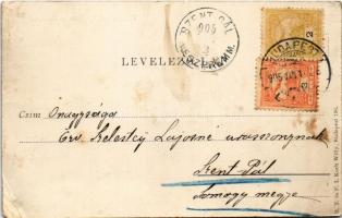 1904 Budapest V. M. kir. Tudományegyetem, villamos, üzlet. M. T. és F. I. Koch Willy 196. (EK)