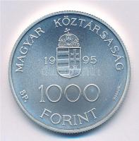 1995. 1000Ft Ag "Integráció az EU-ba-ECU" kapszulában T:BU 
Adamo EM145