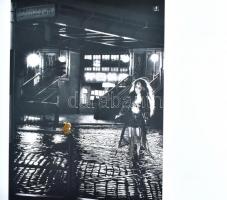 István Nyári Paintings (kétnyelvű) 30 év munkái 1974-2004. Sorszámozott, aláírt példány 74/500. Bp.,...