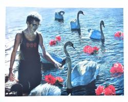 István Nyári Paintings (kétnyelvű) 30 év munkái 1974-2004. Sorszámozott, aláírt példány 74/500. Bp.,...