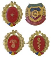 Románia 1968-1989. Hazafias Gárda (Gărzile Patriotice) fegyvernemi jelvények (3xklf) + Haza védelmének előkészítésében kiemelkedő (EVIDENTIAT IN PREGATIREA PENTRU APARAREA PATRIEI) műgyantás jelvény T:1-,2 Romania 1968-1989. Patriotic Guard (Gărzile Patriotice) military branch badges (3xdiff) + EVIDENTIAT IN PREGATIREA PENTRU APARAREA PATRIEI badge C:AU,XF