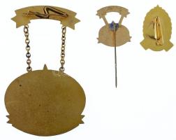 ~1955. "Országos Vízügyi Főigazgatóság / A Vízgazdálkodás Kiváló Dolgozója" aranyozott, zo...