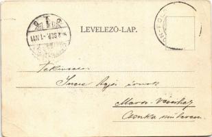 1902 Balatonföldvár, Balaton-part, csónakázók,. Kampmann H. kiadása (EB)