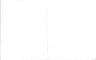 Siófok, Balaton-part, Rózsakert. photo