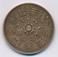 Csúcs Viktória (1934-) 1979. "Magyar Éremgyűjtők Egyesülete 1969-1979" kétoldalas Br emlék...