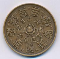 Csúcs Viktória (1934-) 1979. "Magyar Éremgyűjtők Egyesülete 1969-1979" kétoldalas Br emlék...