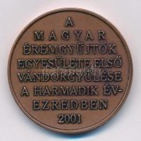 Veres Gábor (1955-) 2001. "MÉE Siófok - 31. Vándorgyűlés" Br emlékérem (42,5mm) T:1
Adamo...
