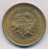 Csíkszentmihályi Róbert (1940-) 1972. "MÉE III. Vándorgyűlése Székesfehérvár / Gorsium" em...