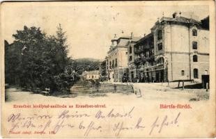 1902 Bártfa, Bardiov, Bardejov; Erzsébet királyné szálloda, Erzsébet tér. Divald Adolf 118. / square, hotel (EK)