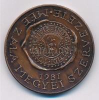 Szabolcs Péter (1942-) 1987. "MÉE Zala Megyei Szervezete / Türje 800 éves" Br emlékérem (4...