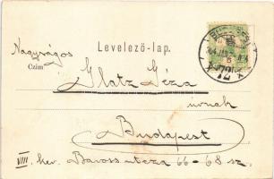 1904 Budapest V. József tér, üzletek