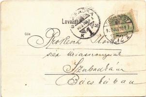 1902 Budapest V. Magyar Kir. Tudományos Akadémia, Széchenyi szobor (EK)