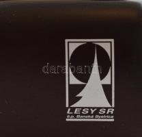 Lesy SR fa doboz 2 tárolórekesszel, fedelén üvegezett képkerettel (15x10 cm), apró sérüléssel, 16,5x...