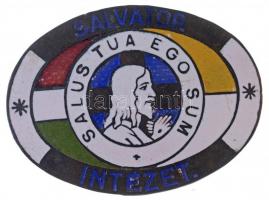 ~1910-1930. Salvator Intézet / Salus Tua Ego Sum a Salvator nővérek vezette nevelőintézet zománcozott jelvénye (29x39mm) T:1-