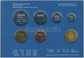Hollandia 1993. 5c-2 1/2G (6xklf) forgalmi sor karton tokban, pénzverdei zsetonnal T:1 Netherlands 1...