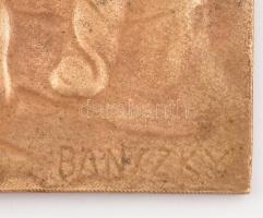 Bánszky Sándor (1888.-1918): Homérosz. Bronz plakett. Jelzett. 15x23 cm