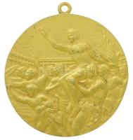 1968. "XIX. Olimpia Mexikó 1968" kétoldalas, aranyozott Br emlékérem füllel, az olimpiai d...