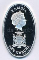 Zambia 2000. 4000K Ag "Millennium - DNS kód" T:PP
Zambia 2000. 4000 Kwacha Ag "Mille...