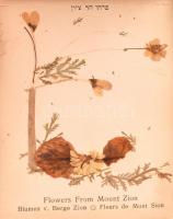 cca 1900 A Szentföld virágai fa borítású füzet szárított virágokkal, több nyelven, kopásokkal, 14x9 ...