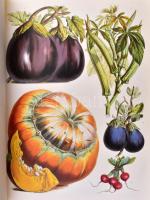 Les Plantes Potagéres. L'Album Vilmorin. Préface de Jacques Barrau. Paris, 1996, Bibliothéque d...