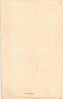 Losonc Lucenec; Kossuth szobor, Várpsi polgári leányiskola, Gács vára, kastély / monument, statue, g...