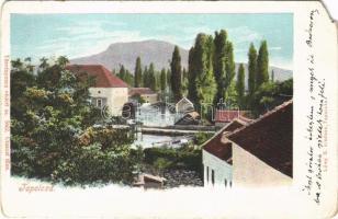 1900 Tapolca, vízimalom. Löwy B. kiadása (EM)