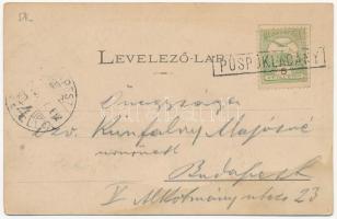 1902 Püspökladány, pályaudvar belterülete, vasútállomás, vágányok és vonatok. Divald (fl)