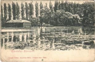 1905 Hévíz, fürdő. Czompó Gábor kiadása (EB)
