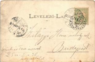 1905 Hévíz, fürdő. Czompó Gábor kiadása (EB)