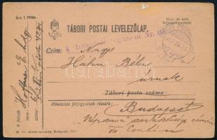 1917 Tábori posta levelezőlap "TP 427 a"