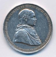 1822. PRINC. PRIMAS ALEXANDER DE RUDNA ARCHI... Rudnay Sándor esztergomi érseket ábrázoló, jelzetlen Ag emlékérem az Esztergomi Bazilika alapkőletételének emlékére. Szign.:J. Lang (13,11g/30mm) T:2 kis ph. / Hungary 1822. PRINC. PRIMAS ALEXANDER DE RUDNA ARCHI... Ag commemorative medallion, without hallmark, depicting Archbishop Alexander Rudnay, commemorating the laying of the cornerstone of the Basilica of Esztergom (13,11g/30mm) C:XF small edge error