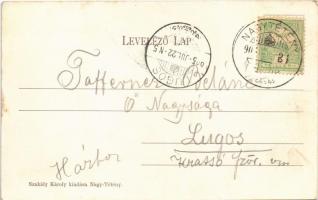 1905 Budapest XXII. Nagytétény, Löwy-féle uradalmi kastély. Szakály Károly kiadása (EK)