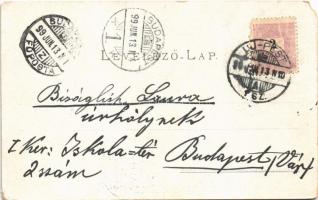 1899 Budapest XV. Rákospalota, részlet a villasorból. Schön Bernát kiadása (EM)